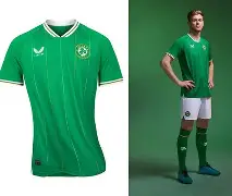 APP下载-爱尔兰足球队阵容